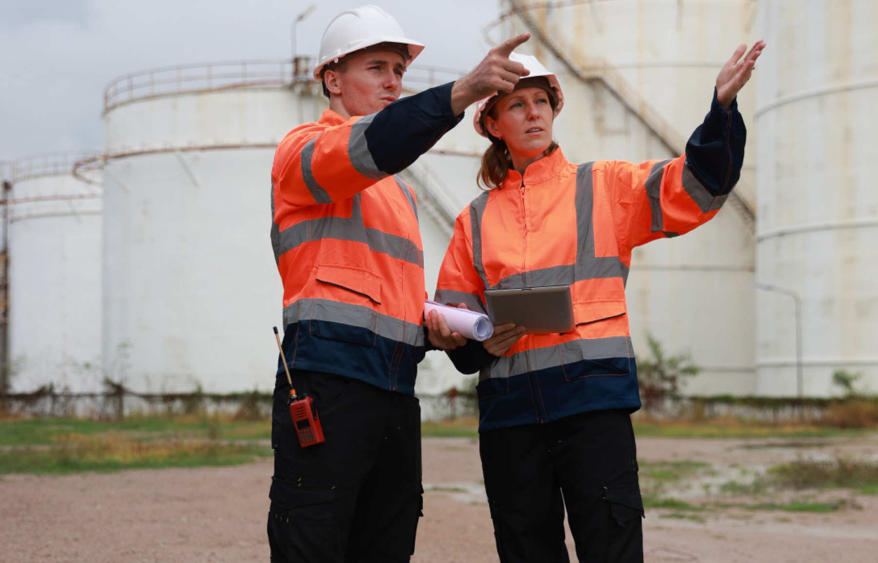 Highly Qualified Team